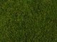 Meadow Foliage, All Scales, NOCH 07291