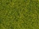 Scatter Grass, All Scales, NOCH 08363