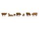 Cows, Brown, TT, NOCH 47216