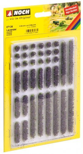 Lavender, All Scales, NOCH 07136