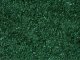 Leaves, All Scales, NOCH 07146