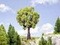 Oak Tree, All Scales, NOCH 21761