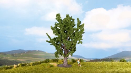 Oak Tree, All Scales, NOCH 25860