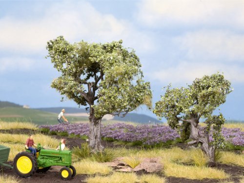 Olive Trees, All Scales, NOCH 21995