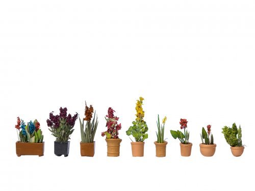 Ornamental Plants in Pots, HO, NOCH 14012
