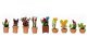 Ornamental Plants in Pots, N, NOCH 14080