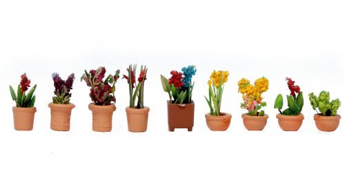 Ornamental Plants in Pots, N, NOCH 14080