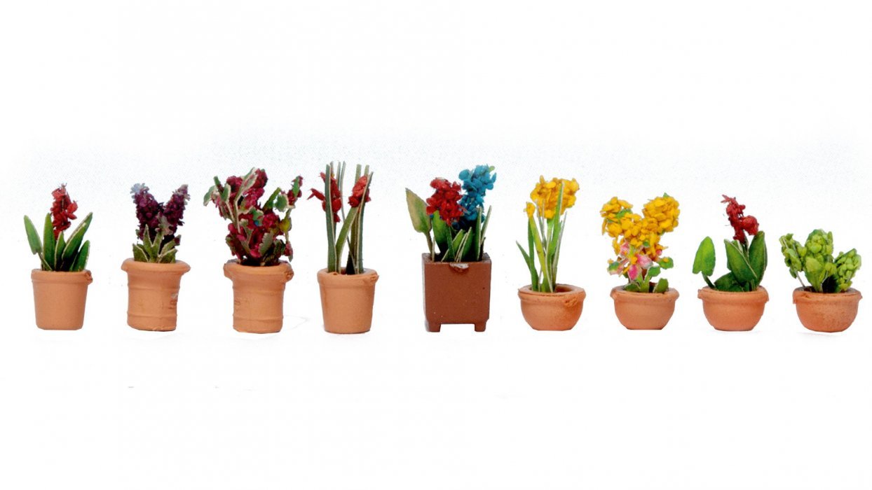 Ornamental Plants in Pots, N, NOCH 14080