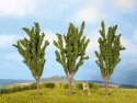 Poplars, All Scales, NOCH 25525