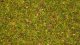 Scatter Grass “Flower Meadow”, All Scales, NOCH 08330