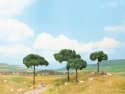 Stone Pines, All Scales, NOCH 21992