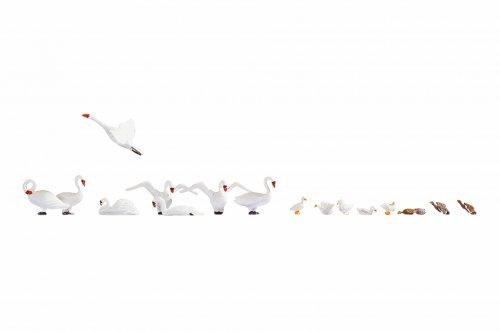 Swans and Ducks, HO, NOCH 15774