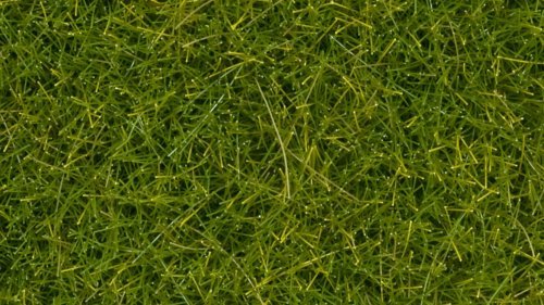 Wild Grass XL, All Scales, NOCH 07112