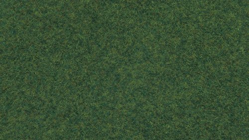 Wild Grass, All Scales, NOCH 07081