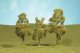 Sycamore Trees - SceneScapes(TM) -- 3 to 4′ 7.6 to 10.2cm pkg(3), HO, Bachmann Industries 32009