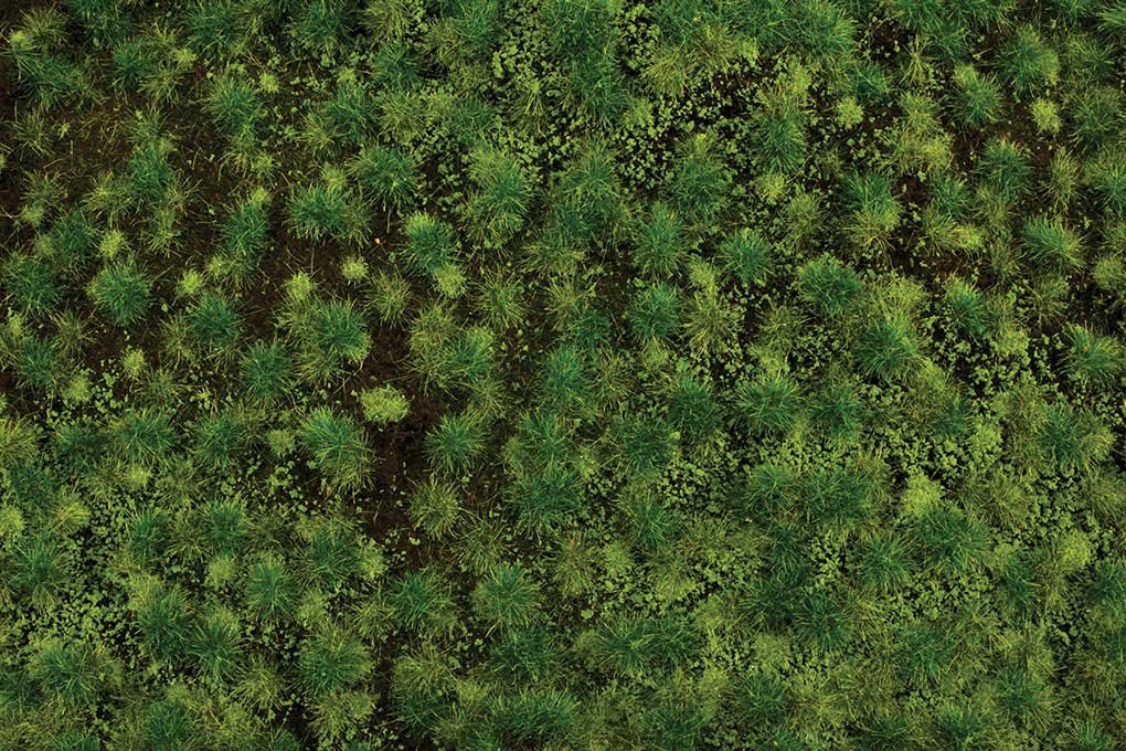 Tufted Grass Sheet/Mat - SceneScapes(R) -- Medium Green 3/16′ .5cm Tall Fibers, 11-, All Scales, Bachmann Industries 32922