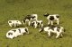 SceneScapes(TM) Figures -- Cows (black, white) pkg(6), HO, Bachmann Industries 33103