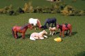 Horses - SceneScapes(TM) -- pkg(6), HO, Bachmann Industries 33119