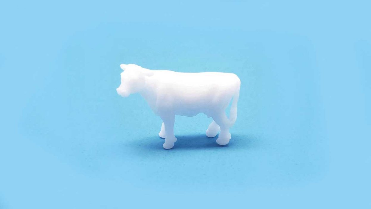 Cows -- Unpainted pkg(5), N, All Scale Miniatures 1600977