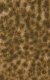 Grass Tuft Sheet -- 2-Color Long Fall Tufts 1/4` .6cm Tall, 5-7/16 x 3-7/16` 13.8 x 8., All Scales, Busch Gmbh & Co Kg 3539