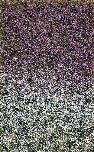 Grass Tuft Sheet -- Late Summer Blossom Tufts 3/16` .4cm Tall, 5-7/16 x 3-7/16` 13.8 x, All Scales, Busch Gmbh & Co Kg 3548