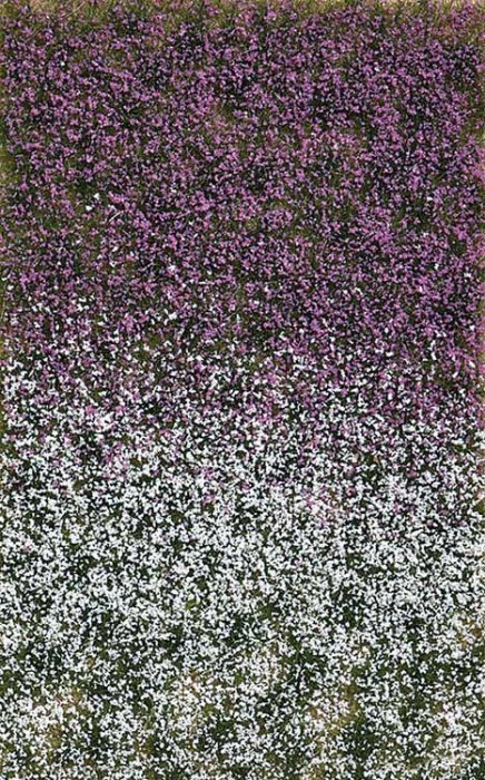 Grass Tuft Sheet -- Late Summer Blossom Tufts 3/16` .4cm Tall, 5-7/16 x 3-7/16` 13.8 x, All Scales, Busch Gmbh & Co Kg 3548