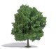 Chestnut Tree -- 8-11/16′ 22cm Tall, HO, Busch Gmbh & Co Kg 3763