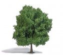 Chestnut Tree -- 8-11/16′ 22cm Tall, HO, Busch Gmbh & Co Kg 3763