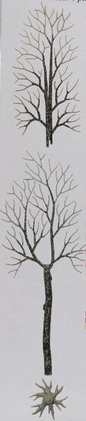 Winter Trees -- 6-1/2′ 16.5cm pkg(4), HO, Busch Gmbh & Co Kg 6158
