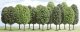 Deciduous Trees -- 3-1/2 - 5-1/2′ 9 - 14cm Tall pkg(15), All Scales, Busch Gmbh & Co Kg 6485