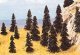 Pine Tree Assortment -- 1-9/16 to 3-1/2′ 4 to 9cm pkg(20), All Scales, Busch Gmbh & Co Kg 6498