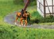 Rahden Horse-Driven Mill -- Laser-Cut Kit - 14 x 8.5 x 9cm, HO, Faller Gmbh 130582