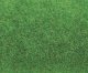 Light Green Ground Cover Mat -- 39-3/8 x 29-1/2′ 100 x 75cm, All Scales, Faller Gmbh 180753