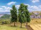 Poplar Trees -- 5-1/8′ 13cm Tall pkg(3), All Scales, Faller Gmbh 181576