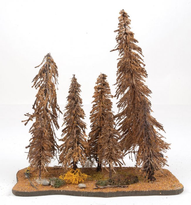 Spruce Trees -- 7 Trees 3 - 9′ 7.6cm - 22.9cm Tall, All Scales, Grand Central Scenery AST1