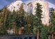 Redwood Trees -- 10 to 11′ 25.4 to 27.9cm pkg(2), All Scales, Grand Central Scenery T43