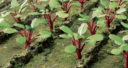 Rhubarb Plants -- pkg(28), HO, JTT Miniature Tree 95592