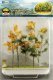 Woods Edge Trees -- Mixed Fall 4 to 5-1/2′ pkg(5), All Scales, JTT Miniature Tree 95624