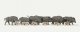 Wild Pigs/Boar - Economy Series -- pkg(12), HO, Merten 215028