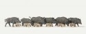 Wild Pigs/Boar - Economy Series -- pkg(12), HO, Merten 215028