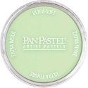 Panpastel Color Powder -- Yellow Green Tint, All Scales, Pan Pastel 26908