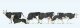 Cows -- pkg(6), 1/76, Preiser Kg 73013