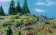 Roadside Railings, N, Vollmer Gmbh 47425