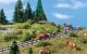 Roadside Railings, N, Vollmer Gmbh 47425