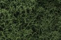 Lichen - 1.5qts 1.4L -- Medium Green, All Scales, Woodland Scenics 163