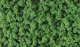Bushes - Shaker - 32oz 907g -- Medium Green, All Scales, Woodland Scenics 1646