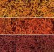 Lichen - 1.5qts 1.4L -- Autumn Mix, All Scales, Woodland Scenics 165