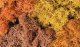 Lichen - 1.5qts 1.4L -- Autumn Mix, All Scales, Woodland Scenics 165