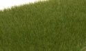 Static Grass - Field System - 1/8′ 4mm Fibers -- Dark Green, All Scales, Woodland Scenics 617