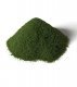 Grass - All Game Terrain -- Spring, All Scales, Woodland Scenics 6436